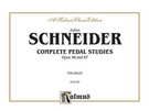 Cover icon of Complete Pedal Studies, Op. 48 and 67 (COMPLETE) sheet music for organ solo by Julius Schneider, classical score, easy/intermediate skill level