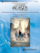 Cover icon of Fantastic Beasts and Where to Find Them sheet music for full orchestra (full score) by James Newton Howard and Patrick Roszell, intermediate skill level