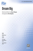 Cover icon of Dream Big sheet music for choir (SAB: soprano, alto, bass) by Ryan Shupe and Tim Hayden, intermediate skill level