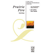 Cover icon of Prairie Fire sheet music for piano solo by David Karp, intermediate skill level