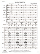 Cover icon of Full Score Calypso Sea: Score sheet music for string orchestra by Soon Hee Newbold, intermediate skill level