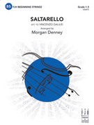 Cover icon of Full Score Saltarello: Score sheet music for string orchestra by Vincenzo Galilei, intermediate skill level