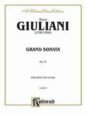 Grand Sonata Violin and Guitar Op. 25 sheet music