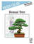 Bonsai Tree piano solo sheet music