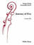 Journey of Five string orchestra sheet music