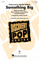 Cover icon of Something Big (arr. Audrey Snyder) sheet music for choir (2-Part) by Shawn Mendes, Audrey Snyder, Ido Zmishlany and Scott Friedman, intermediate duet