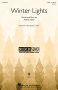 Cover icon of Winter Lights sheet music for choir (2-Part) by Audrey Snyder, intermediate duet