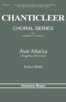 Cover icon of Ave Maria sheet music for choir (SSA: soprano, alto) by Franz Biebl, intermediate skill level