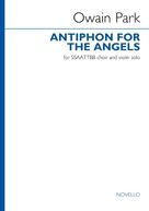 Cover icon of Antiphon For The Angels (Vocal score) sheet music for choir (SSAATTBB) by Owain Park, intermediate skill level