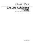 Cover icon of Caelos Ascendit Hodie sheet music for choir (SATB: soprano, alto, tenor, bass) by Owain Park, classical score, intermediate skill level