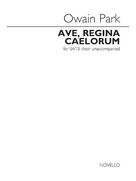 Cover icon of Ave Regina Caelorum sheet music for choir (SATB: soprano, alto, tenor, bass) by Owain Park, classical score, intermediate skill level