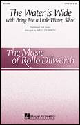 Cover icon of The Water Is Wide (Bring Me A Little Water, Sylvie) sheet music for choir (2-Part) by Rollo Dilworth, intermediate duet