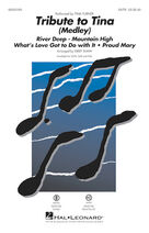 Cover icon of Tribute to Tina (complete set of parts) sheet music for orchestra/band by Kirby Shaw, Ike & Tina Turner, John Fogerty and Tina Turner, intermediate skill level