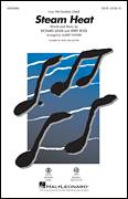 Cover icon of Steam Heat sheet music for choir (SATB: soprano, alto, tenor, bass) by Richard Adler, Audrey Snyder and Jerry Ross, intermediate skill level
