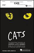 Cover icon of Cats (Medley) (arr. Ed Lojeski) sheet music for choir (SAB: soprano, alto, bass) by Andrew Lloyd Webber, Ed Lojeski and T.S. Eliot, intermediate skill level
