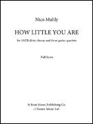 Cover icon of How Little You Are sheet music for orchestra/band (score) by Nico Muhly, classical score, intermediate skill level