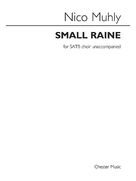 Cover icon of Small Raine sheet music for choir (SATB: soprano, alto, tenor, bass) by Nico Muhly, classical score, intermediate skill level
