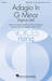 Adagio In Sol Minore orchestra/band sheet music