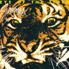 Cover icon of Eye Of The Tiger sheet music for guitar solo (easy tablature) by Survivor, Frank Sullivan and Jim Peterik, easy guitar (easy tablature)
