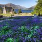 The Blue Bells Of Scotland sheet music download