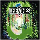 Cover icon of Mary Jane sheet music for guitar (tablature) by The Vines, intermediate skill level
