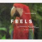 Cover icon of Feels (feat. Pharrell Williams, Katy Perry and Big Sean), (easy) sheet music for piano solo by Calvin Harris, Brittany Hazzard, Katy Perry, Maurice White, Pharrell Williams, Sean Anderson and Wayne Vaughn, easy skill level