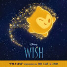 Cover icon of I'm A Star (from Wish) sheet music for piano solo by The Cast Of Wish, Benjamin Rice and Julia Michaels, easy skill level