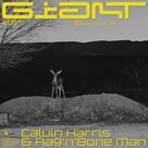 Cover icon of Giant sheet music for piano solo by Calvin Harris & Rag 'n' Bone Man, Calvin Harris (adam Wiles), Jamie Hartman, Rory Graham and Troy Miller, beginner skill level