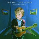 Cover icon of Don't Marry Her sheet music for guitar (chords) by The Beautiful South, David Rotheray and Paul Heaton, intermediate skill level