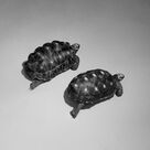 Cover icon of Love Is A Stillness sheet music for voice, piano or guitar by Sam Smith, David Odlum and Simon Aldred, intermediate skill level