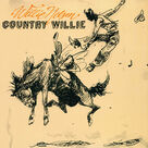 Cover icon of Night Life sheet music for voice, piano or guitar by Willie Nelson, Paul Buskirk and Walt Breeland, intermediate skill level