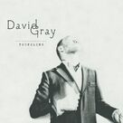 Cover icon of Forgetting sheet music for voice, piano or guitar by David Gray, intermediate skill level