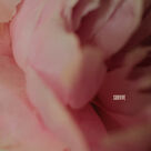 Cover icon of Survive sheet music for voice, piano or guitar by Lewis Capaldi and Samuel Roman, intermediate skill level