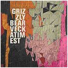 Cover icon of While You Wait For The Others sheet music for guitar (chords) by Grizzly Bear, intermediate skill level
