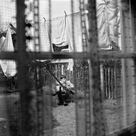 Cover icon of This Never Happened Before sheet music for voice, piano or guitar by Paul McCartney, intermediate skill level