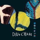 Cover icon of Goodbye Earl sheet music for voice, piano or guitar by The Chicks, Dixie Chicks and Dennis Linde, intermediate skill level