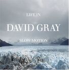 Cover icon of Slow Motion sheet music for voice, piano or guitar by David Gray and Craig McClune, intermediate skill level