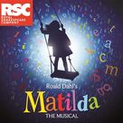 Cover icon of The Hammer ('From Matilda The Musical') sheet music for piano solo by Tim Minchin, easy skill level