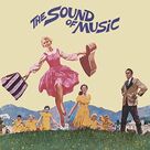 Cover icon of My Favorite Things (from The Sound Of Music) sheet music for choir by The Sound Of Music and Oscar Hammerstein, intermediate skill level