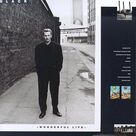 Cover icon of Wonderful Life sheet music for voice, piano or guitar by Paul Anka and Colin Vearncombe, intermediate skill level