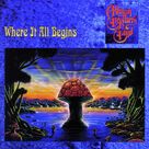 Cover icon of Soul Shine sheet music for voice, piano or guitar by Allman Brothers Band and Warren Haynes, intermediate skill level