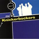 Cover icon of One Track Mind sheet music for guitar (chords) by The Knickerbockers, Keith Colley and Linda Colley, intermediate skill level