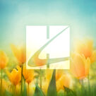 Cover icon of Peter Cottontail sheet music for trumpet solo by Steve Nelson and Jack Rollins, intermediate skill level