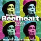 Cover icon of I'm Glad sheet music for guitar (chords) by Captain Beefheart and Don Van Vliet, intermediate skill level