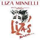 Cover icon of Cabaret sheet music for flute solo by Liza Minnelli, Fred Ebb and John Kander, intermediate skill level
