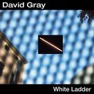 Cover icon of This Year's Love sheet music for flute solo by David Gray, intermediate skill level