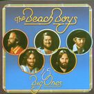 Cover icon of It's OK sheet music for guitar (chords) by The Beach Boys, Brian Wilson and Mike Love, intermediate skill level