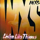 Cover icon of What You Need sheet music for voice and other instruments (fake book) by INXS, Andrew Farriss and Michael Hutchence, intermediate skill level