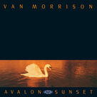 Cover icon of Orangefield sheet music for voice, piano or guitar by Van Morrison, intermediate skill level