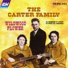 Cover icon of Foggy Mountain Top sheet music for voice and other instruments (fake book) by The Carter Family, A.P. Carter, Maybelle Carter and Sara Carter, intermediate skill level